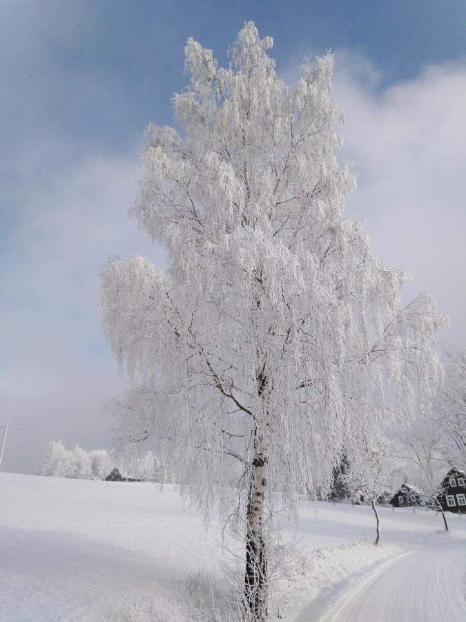 Vila Šírovka Horní Polubný Exteriér fotografie