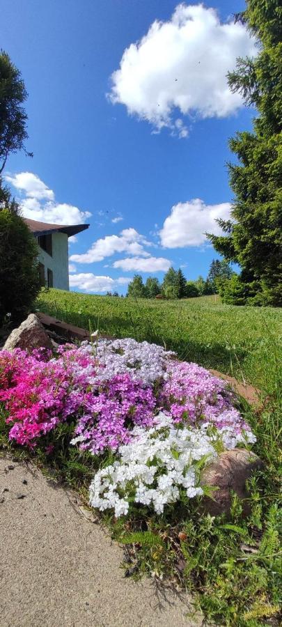 Vila Šírovka Horní Polubný Exteriér fotografie